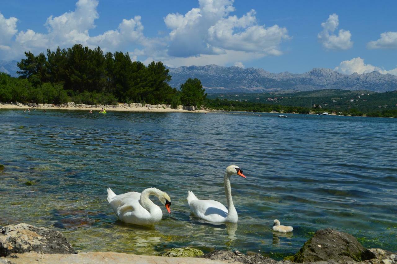 Apartment Lucija *